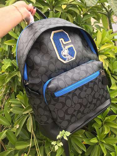 Picture of Coach Mens Bags _SKUfw130296852fw